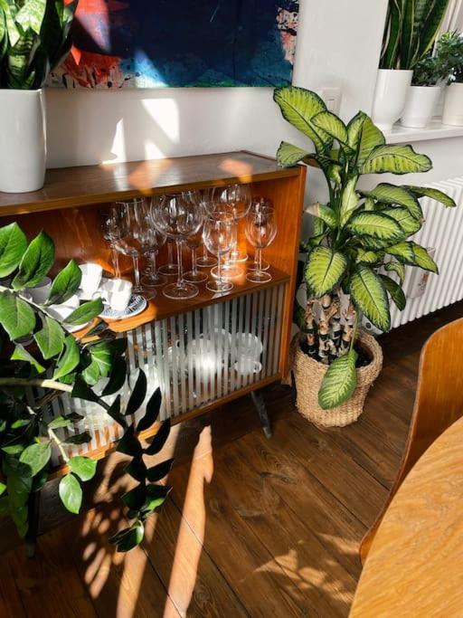 Apartment Nastrojowe Mieszkanie W Centrum